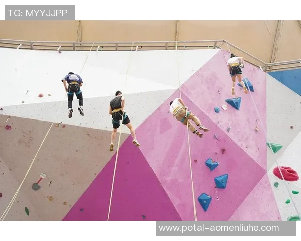 从零基础到高手之路:全面提升攀岩技能的实用指南 从零基础到高手之路:全面提升攀岩技能的实用指南